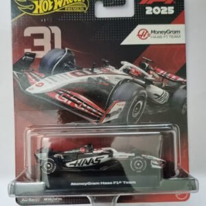 hot wheels premium 2025 f1 moneygram haas team #31 die cast car